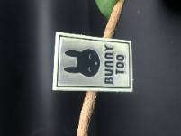 ҹ귴