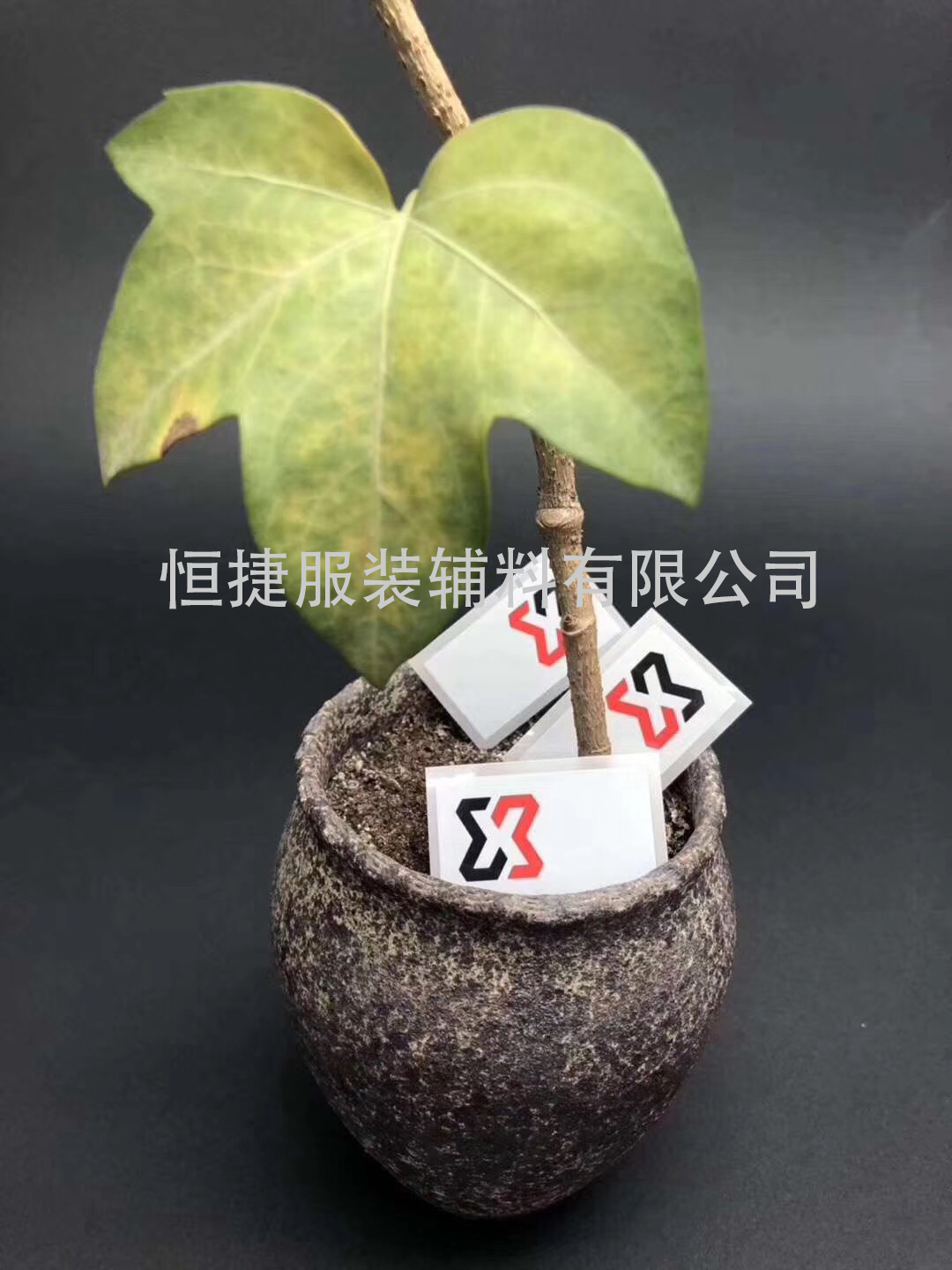 转印标