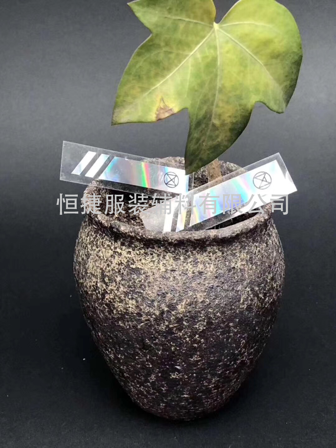 转印标