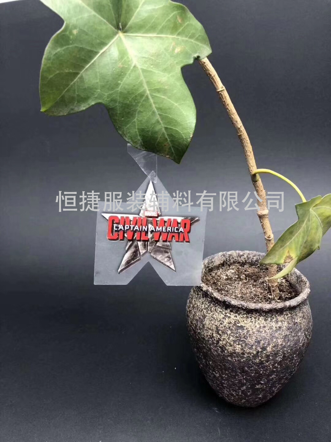 转印标